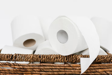 Toilet Paper Need of the Month